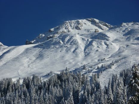 In der Schweizer Berglandschaft messen sich beim Weltcup die alpinen Damen. © privat