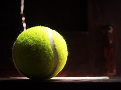 Angeqliue Kerber hat sich einen Traum erfüllt und den Titel in Wimbledon geholt. © privat