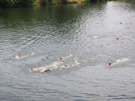 Bei der Schwimm-EM 2018 gehen im Freiwasser sechs deutsche Schwimmerinnen an den Start. © privat