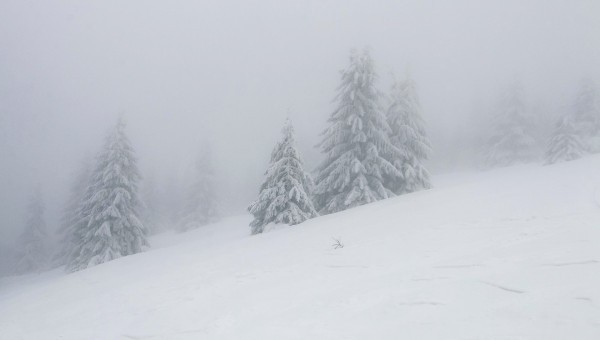 Dichter Nebel verhindert das Rennen der Frauen bei der Ski-WM (Symbolbild). © pixabay